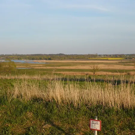 Birkholm 142